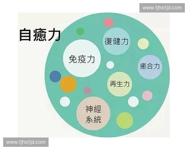运动康复的全面探索:从伤后修复到提升身体机能的全方位方案 运动康复的全面探索:从伤后修复到提升身体机能的全方位方案