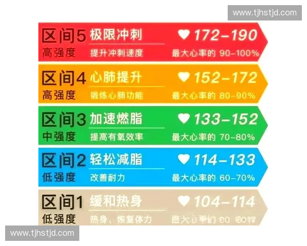 科学解读心率区间与运动效果的关系及健康管理策略
